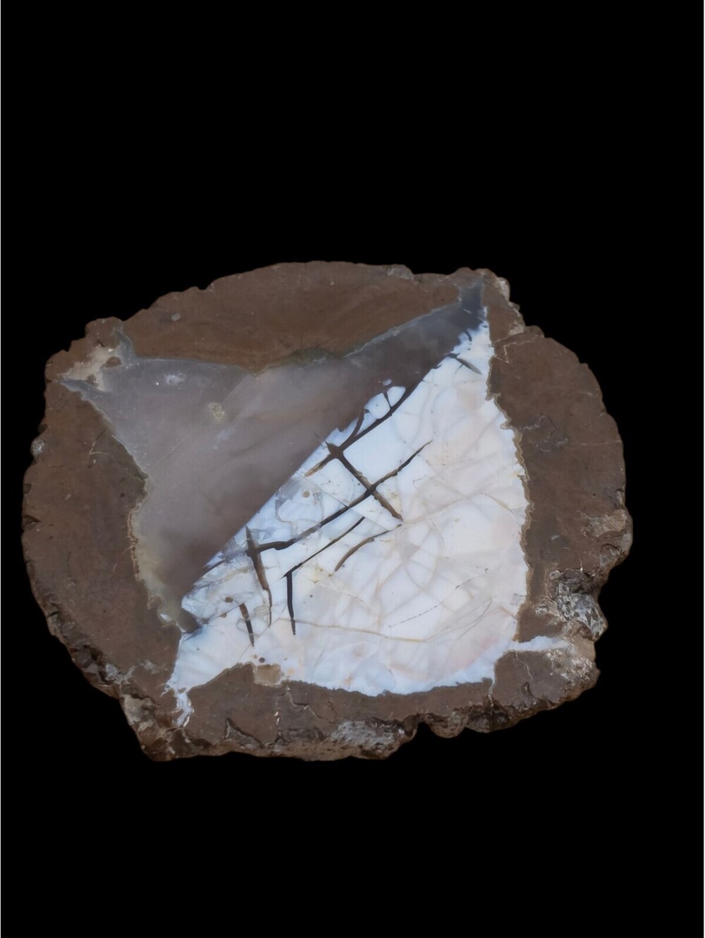 Polished  Thunder Egg Slice